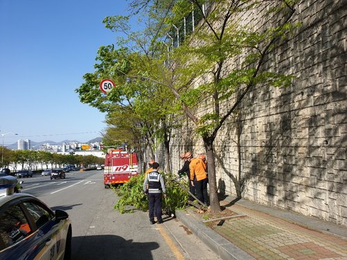 전국 대부분 강풍특보…"시설물 관리·안전사고 유의"