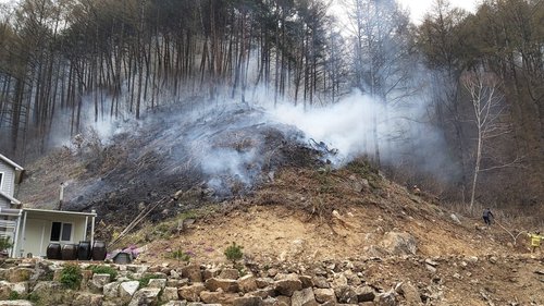 강풍·건조특보 속 강릉·인제서 산불…산림 5천㎡ 소실