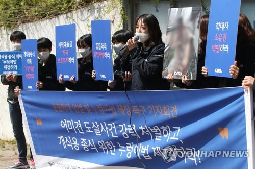 동물권단체, '새끼 앞에서 어미개 도살' 엄벌 요청