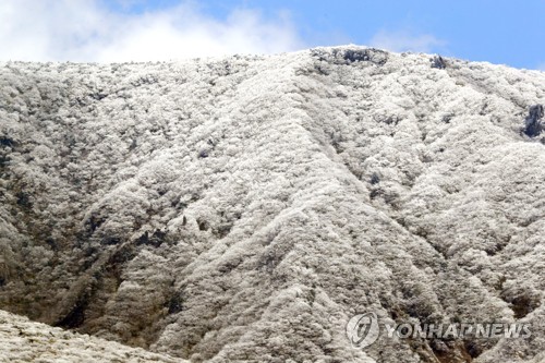 '봄 시샘' 4월 한라산 상고대 절경