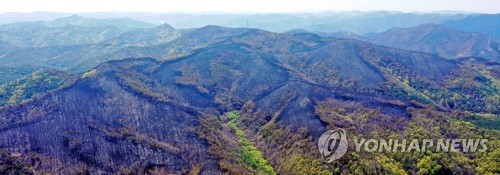 800㏊ 잿더미 안동산불 현장 감식…발화 지점·원인 파악(종합)