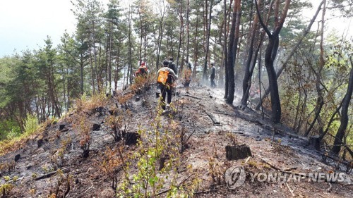 툭 던진 불씨에 평생 가꾼 산림 '화르르'…봄철 마지막 고비