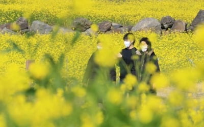 제주도는 오지 말라는데…금·토 4만 관광객 상륙