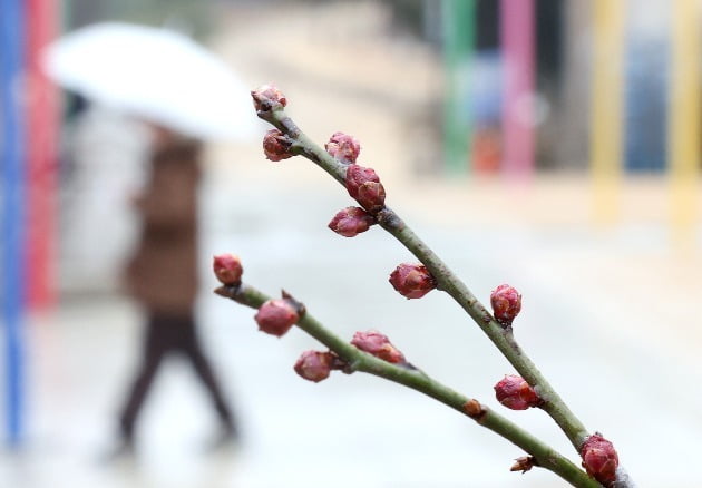 일요일인 19일은 전국이 대체로 흐리고 비가 내릴 것으로 예보됐다. 사진=연합뉴스