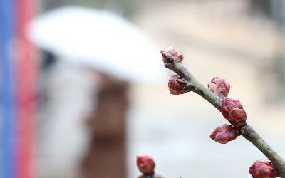 전국 대체로 흐리고 비…미세먼지 '보통'