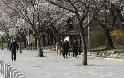 [오늘날씨] 전국에 가끔 구름…강원·경북 일부 오후부터 빗방울