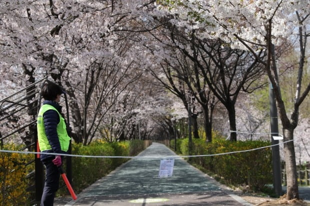 강남구는 이날부터 5일 자정까지 코로나19 확산 방지를 위해 양재천 전 구간을 전면 통제한다. 사진=연합뉴스