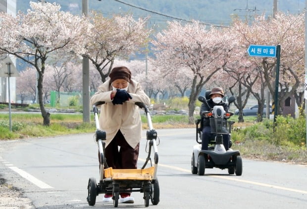 제21대 총선 투표일인 15일 오전 전남 나주시 문평면에서 어르신 유권자들이 전동차를 타거나, 성인용 보행기에 의지해 투표소로 향하고 있다./ 사진=연합뉴스