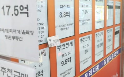 꿈쩍않던 강남권 전세값, 매물 쏟아지자 바로 '뚝'