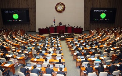 2차 '코로나 추경' 국회 통과…내달 초부터 재난지원금 지급