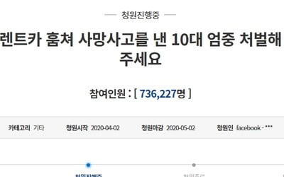 렌터카 훔쳐 사망사고 10대들…형사미성년 논란 수면 위로