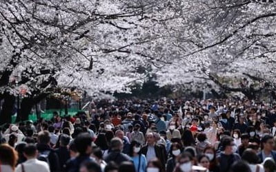 일본 경로불명 코로나19 급증…젊은층 확산·공연장 집단감염