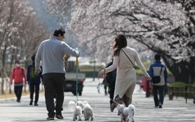 아침엔 '쌀쌀' 낮에는 '포근'…일교차 크고 건조한 날씨