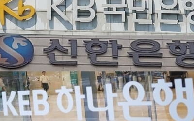 피치, 국민·신한은행 등급 전망 '부정적'으로 내려