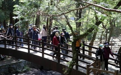 전국 대체로 맑고 포근…경기·강원 일부 오후 한때 비 조금