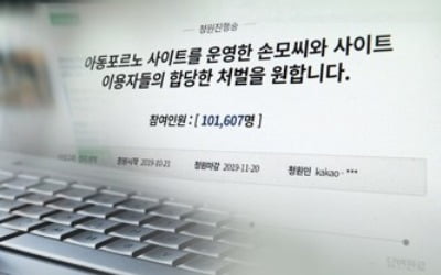 '웰컴투비디오' 손정우, 출소 대신 재구속…미국 송환절차