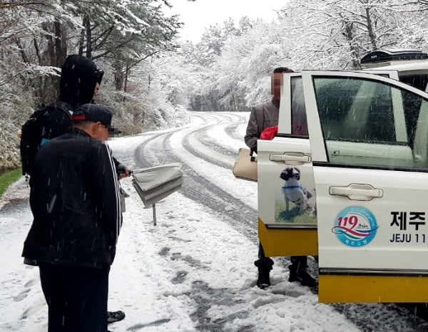 지난 12일 오후 5시26분쯤 제주 한라산 1100도로 어리목 입구 삼거리 인근에서 폭설로 7명이 고립돼 119구조대에 의해 구조되고 있다/사진=뉴스1