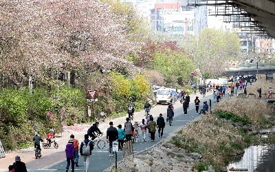 코로나19 확산세 주춤에 전국 주요 행락지 나들이객 몰려