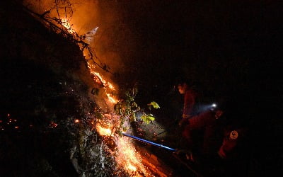 강풍에 되살아난 안동 산불, 사흘째 진화 작업…산림 200㏊ 소실