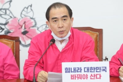 "오버하지 말자"…통합당 내부서도 '태영호·지성호'에 반발