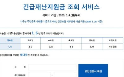 "재난지원금 조회 이렇게 하세요"…마스크 5부제 방법 동일