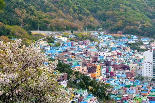 부산 사하구 주택 밀집지역 전경. /게티이미지뱅크