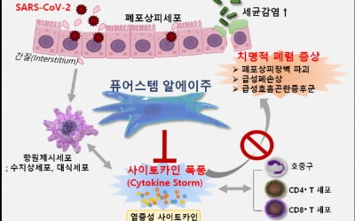 강스템바이오텍, 줄기세포 이용한 코로나19 치료제 치료 목적 사용 승인