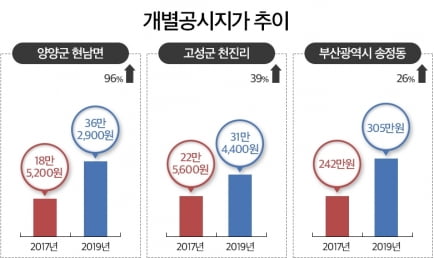 2년새 땅값 2배 껑충…'서핑'이 바꾸는 부동산