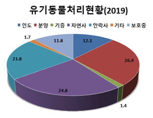 한해 버려진 반려동물 13만 마리, 그중 22%는 안락사