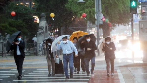 전국적으로 강우 예보가 내려진 18일 오후 서울 광화문광장에서 시민들이 우산을 쓰고 걸어가고 있다. /사진=연합뉴스