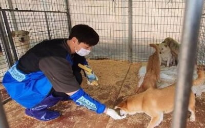 이태환 봉사 인증샷 공개, 유기동물 위한 따뜻한 나눔 실천