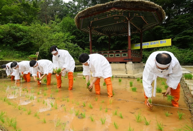 창덕궁 모내기 행사