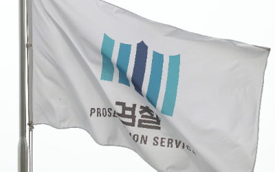 '아들 고소'…미국 송환 막으려는 손정우父 전략 통할까?