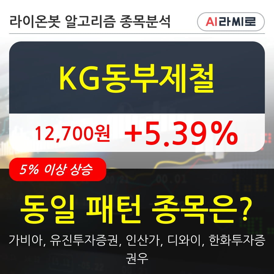 KG동부제철