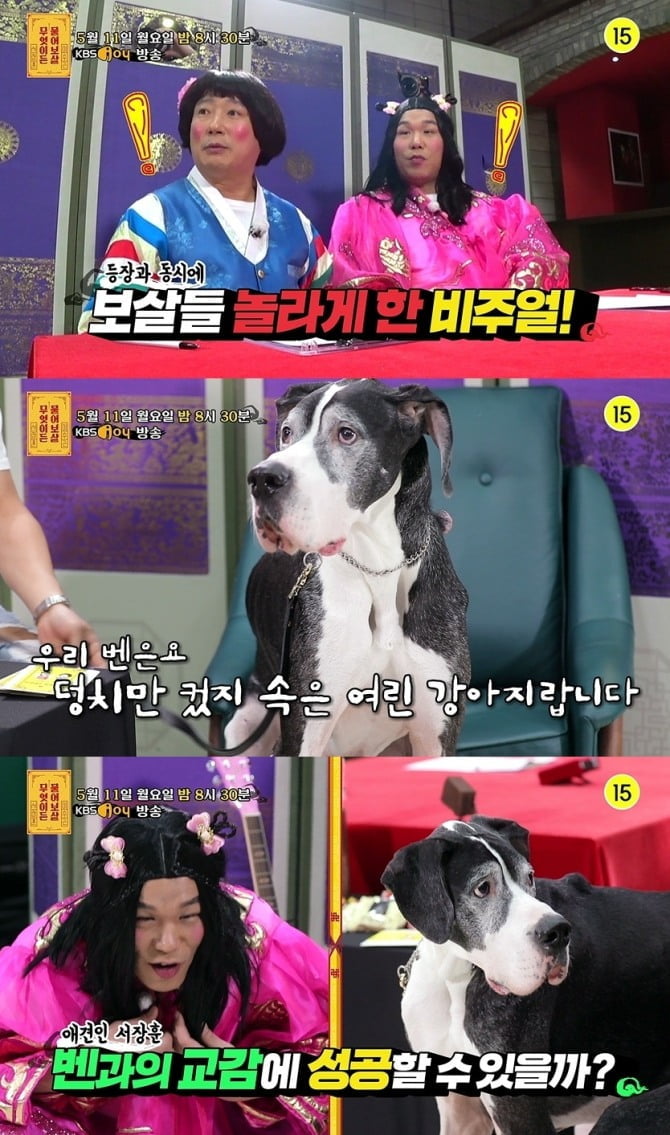 ‘무엇이든 물어보살’ 세계에서 제일 큰 개가 초소형 강아지에게 겁먹는 이유는?