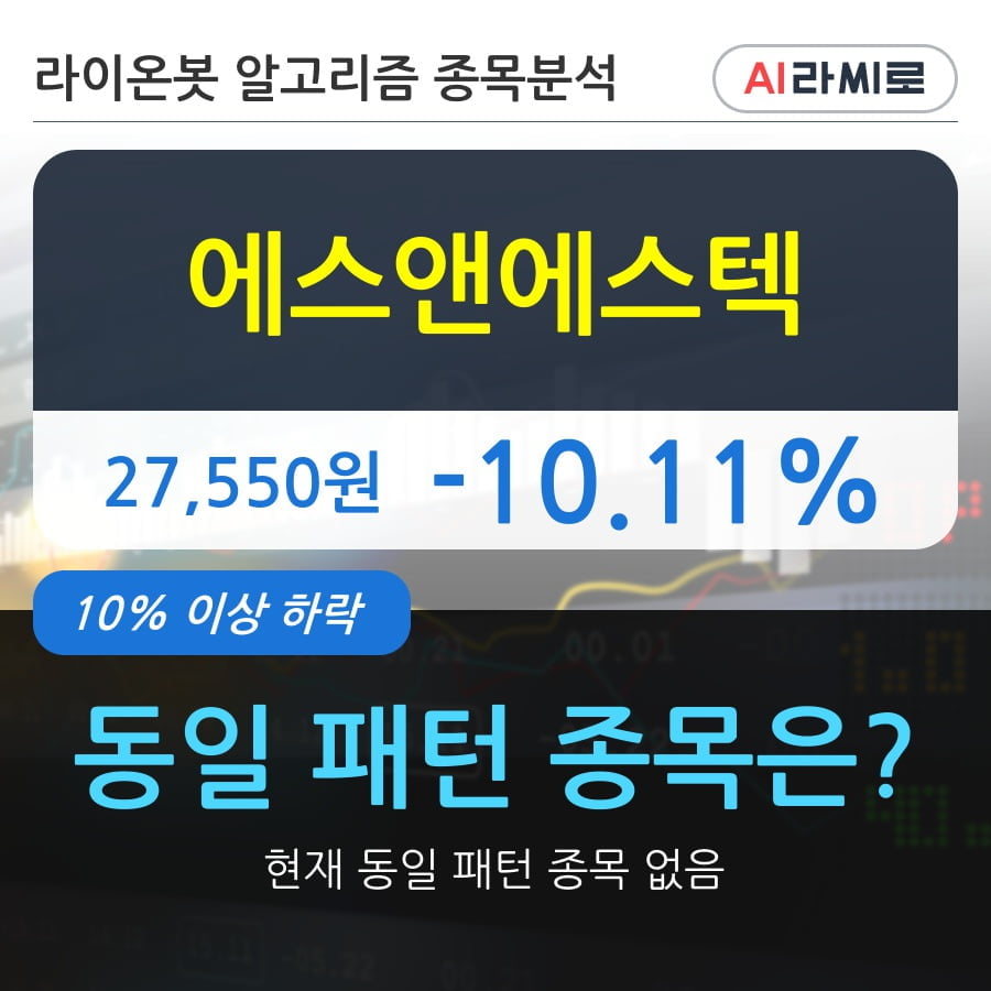 에스앤에스텍