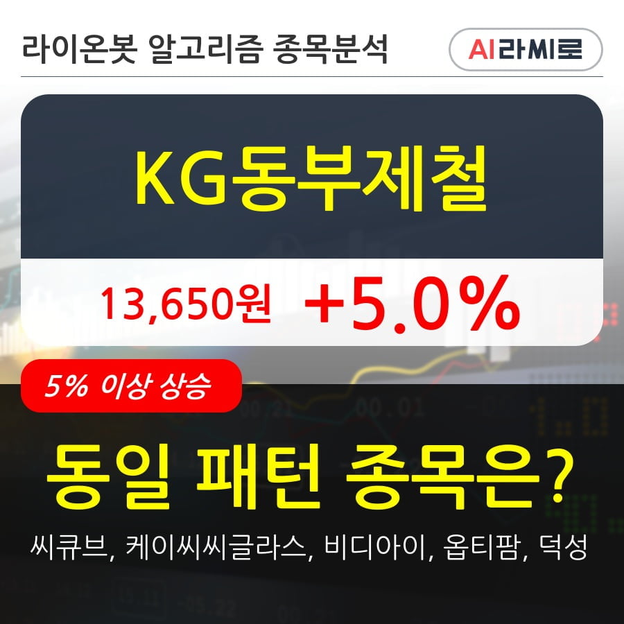 KG동부제철