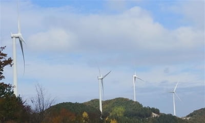 그린뉴딜 관련주, 급등…풍력 에너지·전기차 등 '주목'