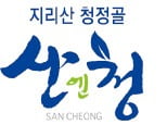 지리산 천연의 맛 듬뿍 담은 명품 산청딸기