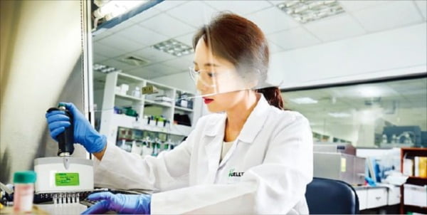 셀트리온 연구원이 인천 송도 본사 연구소에서 코로나19 항체 시험을 하고 있다. 셀트리온 제공 
