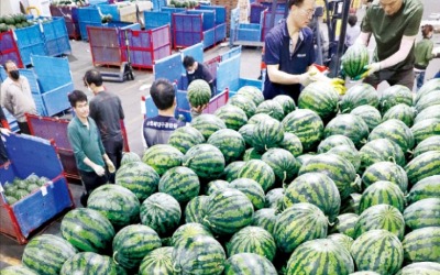 여름 알리는 입하…수박 맛볼까