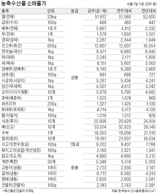 공급 늘어난 오이·주꾸미…전주대비 12%·31% 하락