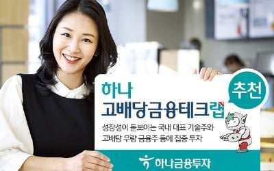 하나금융투자, 삼성전자·금융지주…성장+고배당주 함께 담아