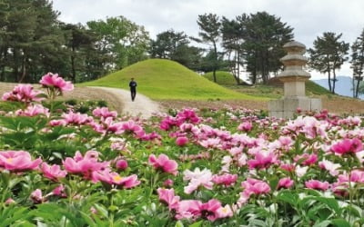 "경북으로 휴가 오는 근로자 10만원 추가할인"