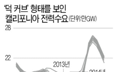 정부 태양광 드라이브에…전문가들 '오리 출현' 경고