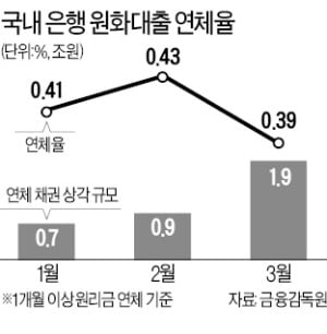 위험관리 시급한데 정부 "대출 늘려라"…은행 '코로나 딜레마'