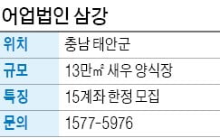 어업법인 삼강, 양식장 등 투자…月 150만원 수익 기대