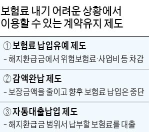 보험 중도해지 하면 손해 큰데…납입 유예·보험대출 활용 어때요