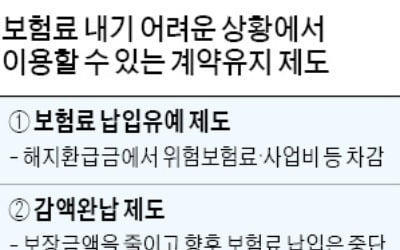 보험 중도해지 하면 손해 큰데…납입 유예·보험대출 활용 어때요