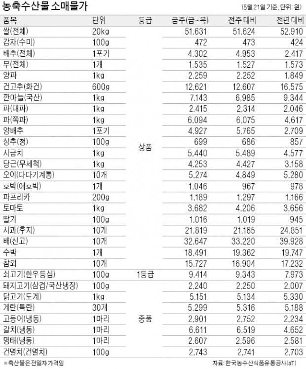 봄 농사 풍년에 출하량 늘어…배추·양배추 가격 안정세